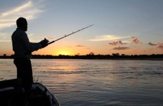 Cota zero para pesca amadora  só vai entrar em vigor em 2020