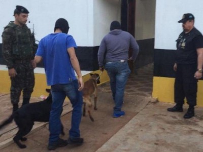 Policiais com cães farejadores entram no presídio feminino de Ponta Porã (Foto: Porã News)