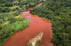 Rio Paraopeba tem níveis de metais 600 vezes maior que o permitido