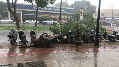 Árvore caiu em cima de motos durante vendaval em Dourados - Foto: divulgação/94FM