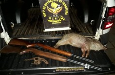 Armas e animal morto estavam em picape conduzida por jovem (Foto: Divulgação/DOF)