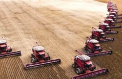 Aumento de área plantada coloca MS entre os maiores produtores de grãos do país