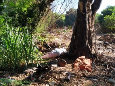 O Corpo foi encontrado ao lado de uma árvore - Foto: Sidnei Bronka
