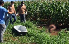 o corpo jogado em uma plantação de milho - Foto: Léo Veras/Porã News