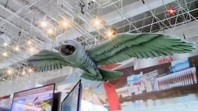 Drone coruja Foto: Reprodução/East2west News