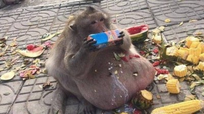 Uncle Fatty Foto: Reprodução/Twitter(The Misfits Podcasts)