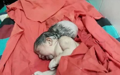 NewsLionTV / Reprodução