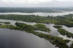 Floresta Amazônica - Valter Campanato/Agência Brasil