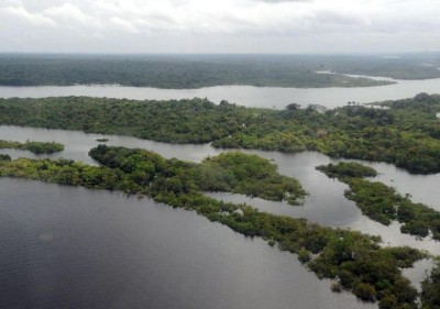 Floresta Amazônica - Valter Campanato/Agência Brasil