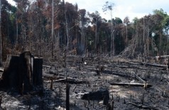 MP vai investigar queimadas criminosas na Amazônia, diz Dodge (Foto: Arquivo/Agência Brasil)