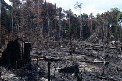 MP vai investigar queimadas criminosas na Amazônia, diz Dodge (Foto: Arquivo/Agência Brasil)