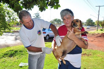 Campanha de vacinação de cães e gatos está concentrada esta semana na região do Jardim Água Boa (Foto: Divulgação/CCZ)