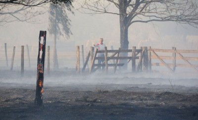 Vegetação foi destruída pelo fogo - Foto: Álvaro Rezende/Correio do Estado