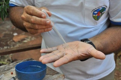 Foram aplicadas três multas,, totalizando R$ 1,4 mil (Foto: Arquivo/A. Frota)