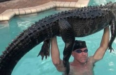 Resgate de jacaré em piscina na Flórida (Foto: Reprodução/Instagramgatorboysalligatorrescue)