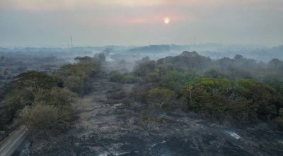 Área destruída pelo fogo no Pantanal, entre Miranda e Corumbá, de domingo a quinta-feira - Fotos: Chico Ribeiro