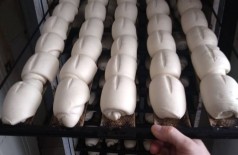 Mais de 200 pães são doados à IAME semanalmente (Foto: Divulgação/Agepen)