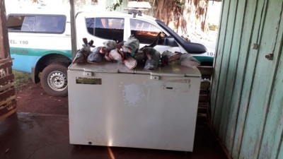 Pescado foi apreendido pela PMA
