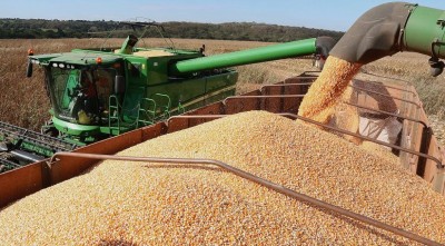 Exportações estaduais somam R$ 20 bilhões em 2019, com crescimento da celulose e milho (Foto: reprodução/Governo de MS)
