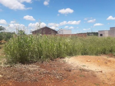 Mato alto em terreno baldio em bairro de Dourados - Foto: divulgação/ouvinte 94FM)