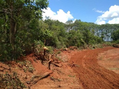 O autuado realizou o desmate de 2,34 hectares de Mata Atlântica