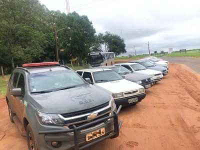 Mercadorias nos veículos não tinham documento de importação - foto: DOF