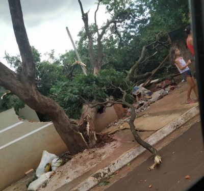 Árvore derruba muro e atinge casa no Canaã III - Foto: divulgação/94FM