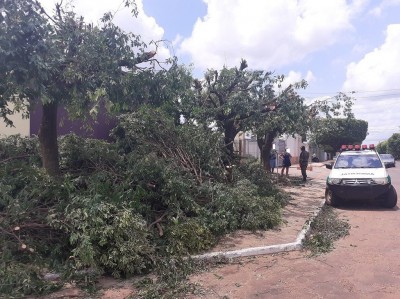 Foto: Divulgação/PMA