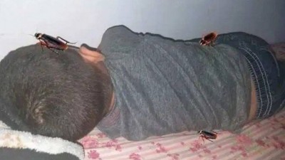 Com Photoshop, baratas passeiam pelo corpo de menino - Foto: Reprodução/Facebook
