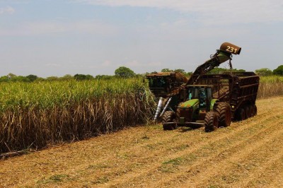 Foto: Divulgação/Biosul