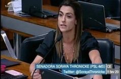 Soraya Thronicke durante audiência no Senado na tarde desta terça-feira (Foto: Reprodução)