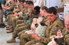 Militares amamentam colas Foto: Reprodução/Facebook(9th Brigade - Australian Army)