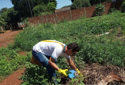 Em Dourados CCZ fez mutirão para prevenir a doença (Foto: Divulgação)