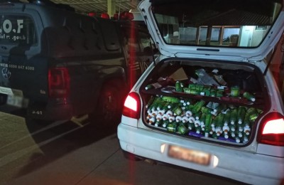 Apreensão foi realizada pelo DOF