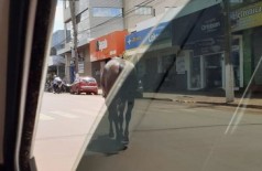 Cavalo solto no meio da Avenida Marcelino Pires coloca motoristas em risco (Foto: 94FM)