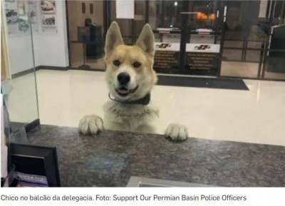 Chico no balcão da delegacia. Foto: Support Our Permian Basin Police Officers