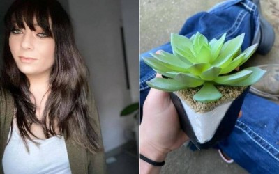 Jovem cuidou de planta de plástico achando ser verdadeira durante 2 anos (Foto: reprodução/Facebook)