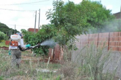 Dourados já notificou mais de 500 casos de dengue neste ano (Foto: A. Frota)