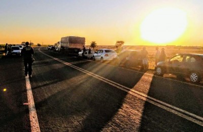 As apreensões ocorreram durante abordagem do policiamento para fiscalização na região de Ponta Porã (Foto: Divulgação/DOF)