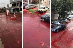 Argentina: 500 mil litros de sangue vazam de matadouro - Foto: Reprodução/Twitter (Darío Albano)