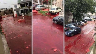 Argentina: 500 mil litros de sangue vazam de matadouro - Foto: Reprodução/Twitter (Darío Albano)
