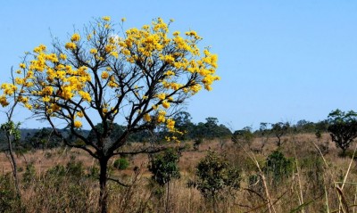 © Toninho Tavares/Agência Brasília