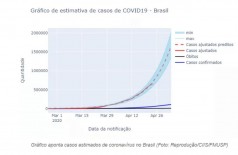 Gráfico aponta casos estimados de coronavírus no Brasil (Foto: Reprodução/CIIS/FMUSP)