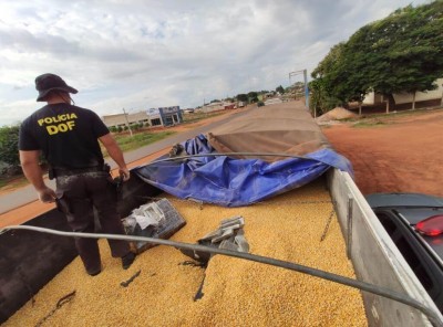 Droga estava camuflada em carga de grãos - Foto: DOF