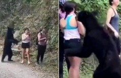 Urso surpreende grupo em trilha no México Foto: Reprodução/Twitter