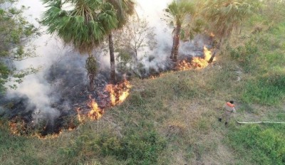 Bombeiros e brigadistas combatem fogo que castiga o Pantanal