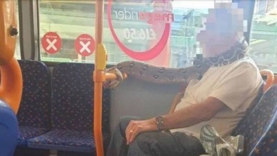 Cobra vira 'cachecol' em ônibus na Inglaterra (Foto: Reprodução)