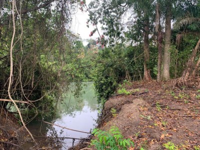 PMA verificou que havia uma valeta de dreno antiga, pois a fazenda há muito tempo possuía arroz irrigado  (Foto: Divulgação)