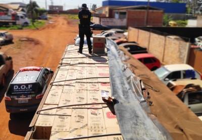 Apreensão foi realizada pelo DOF - Foto: DOF