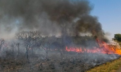 Expectativa é que as chamas sejam apagadas até amanhã (Foto: José Cruz/Agência Brasil)